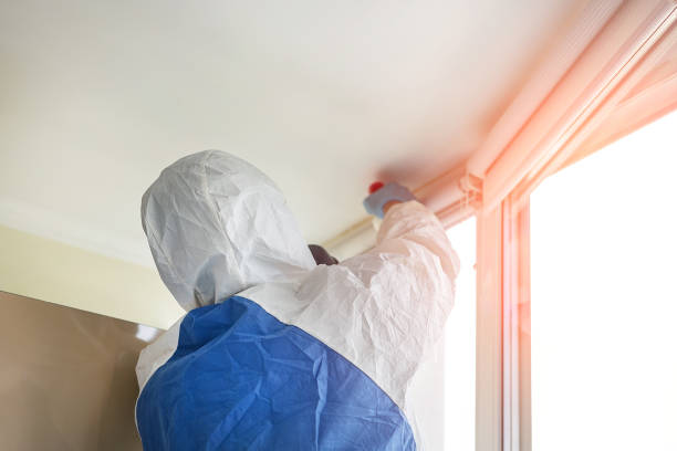 Best Commercial Mold Inspection  in Niagara Falls, NY