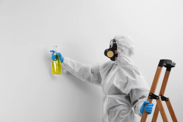 Mold Removal for HVAC Installations in Niagara Falls, NY